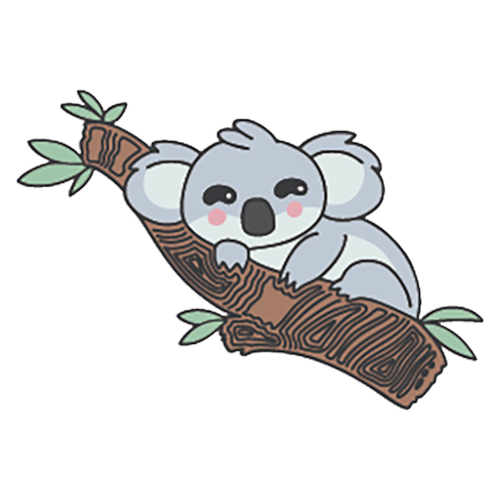 Koala Dreaming